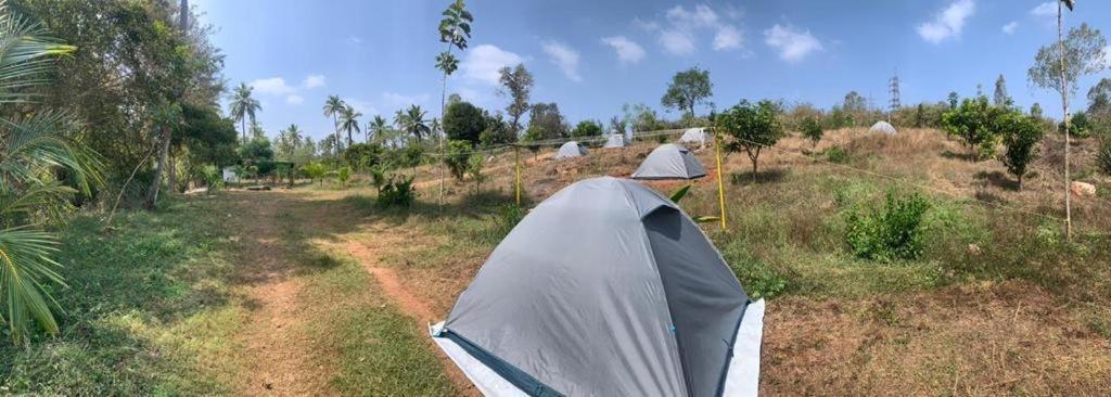 Wilderness Jungle Camp Hotel Malavalli Buitenkant foto