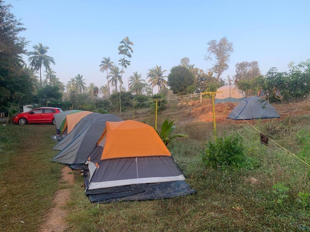 Wilderness Jungle Camp Hotel Malavalli Buitenkant foto