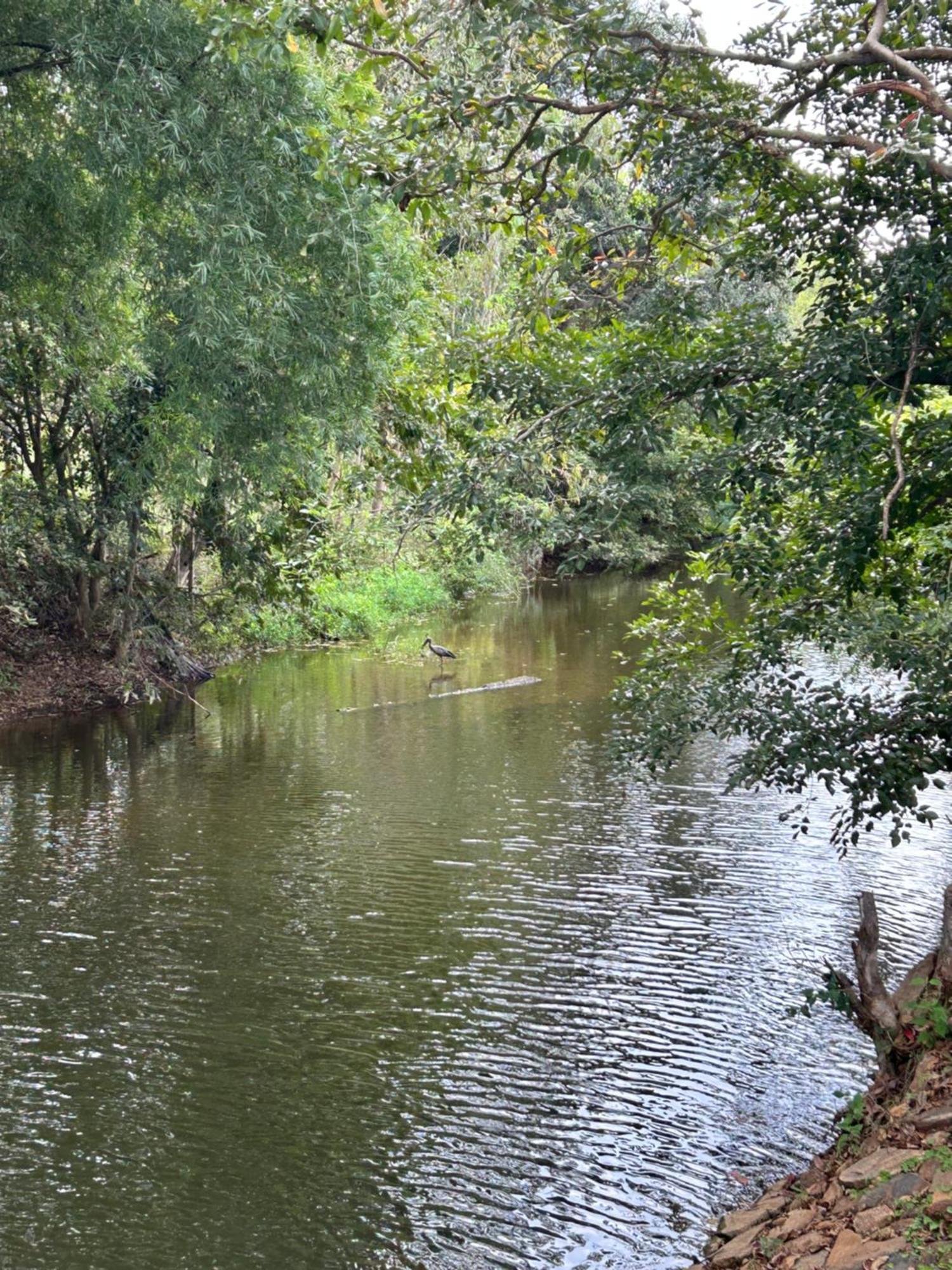 Wilderness Jungle Camp Hotel Malavalli Buitenkant foto