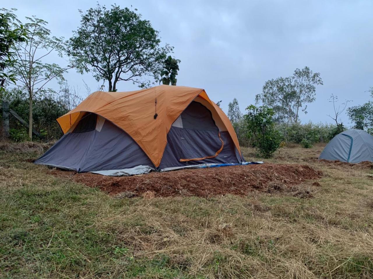 Wilderness Jungle Camp Hotel Malavalli Buitenkant foto